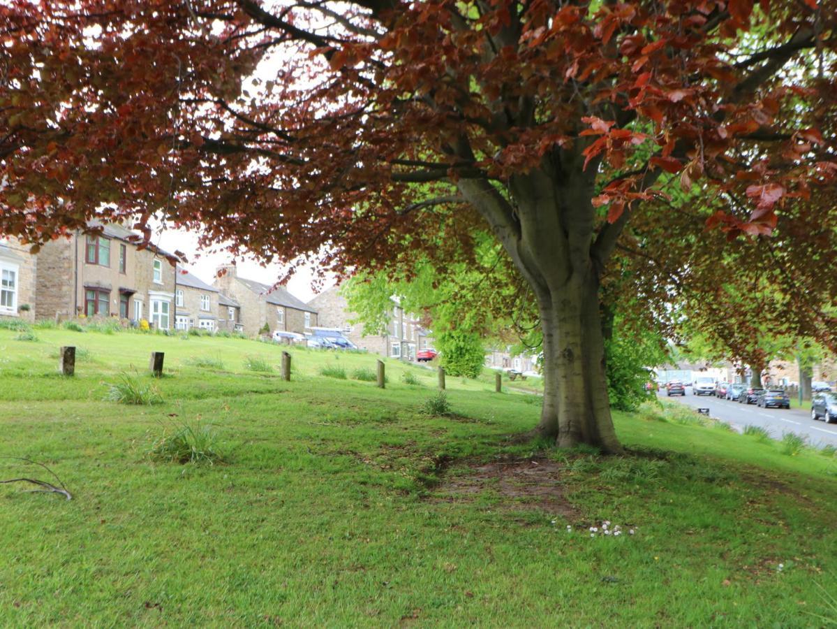 Vila Langlands Barnard Castle Exteriér fotografie